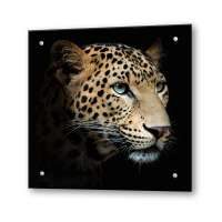 Кухонный экран из стекла "Леопард"  (600*600*4мм)