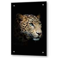 Кухонный экран из стекла "Леопард"  (600*900*4мм)