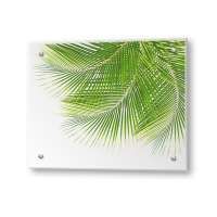 Кухонный экран из стекла "Листья пальмы" (600*500*4мм)