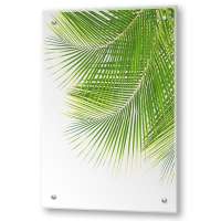 Кухонный экран из стекла "Листья пальмы" (600*900*4мм)