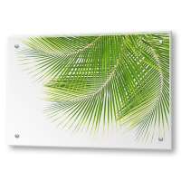 Кухонный экран из стекла "Листья пальмы" (900*600*4мм)