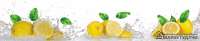 Кухонный фартук "Лимонная свежесть"; ABS-пластик (3000*600*1,5мм.)