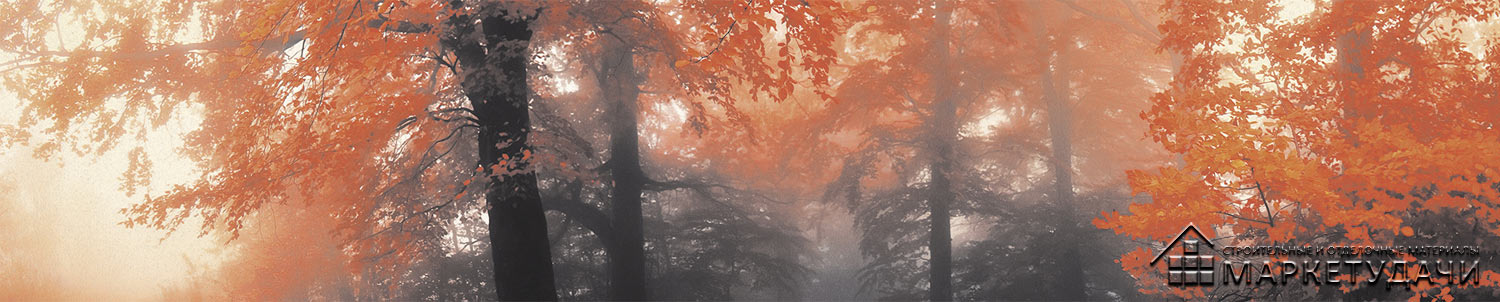 Интерьерная панель "Осенний лес"; ПВХ-пластик