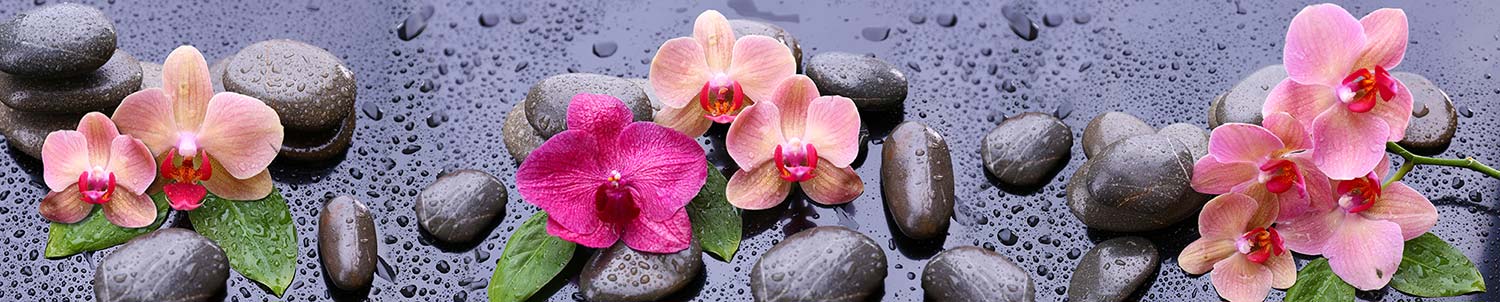 Кухонный фартук "Орхидеи после дождя", ABS-пластик