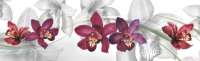 Кухонный фартук "Орхидеи", ABS-пластик (2000*600*1,5мм.)