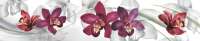Кухонный фартук "Орхидеи", ABS-пластик (3000*600*1,5мм.)