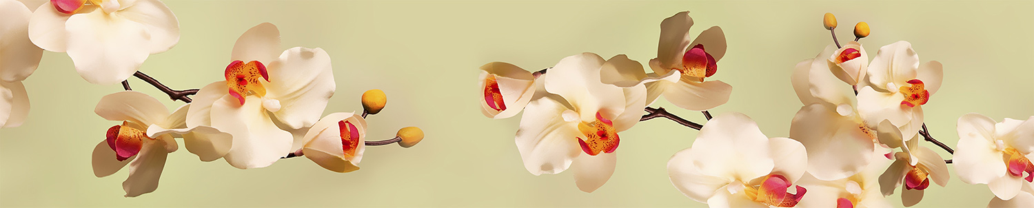 Кухонный фартук "Нежные орхидеи", ABS-пластик