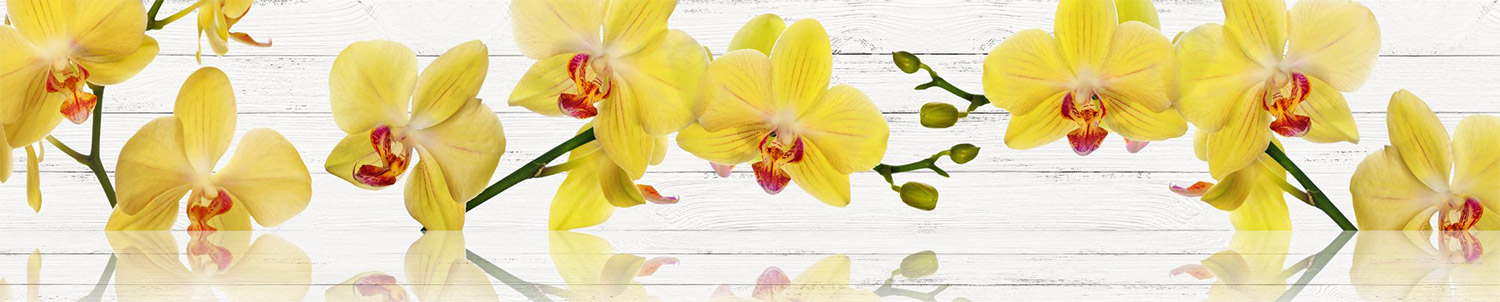 Кухонный фартук "Желтая орхидея", ABS-пластик