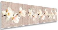  Кухонный фартук МДФ 0120