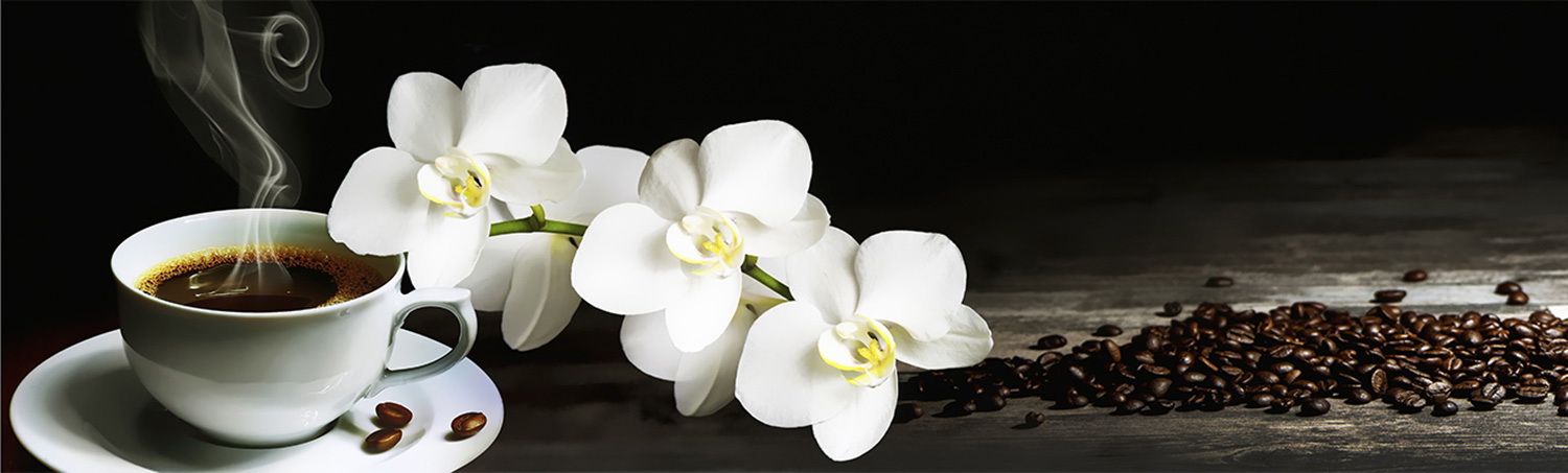 Кухонный фартук "Белая орхидея и кофе", полимерное стекло; 2000*600*3мм.