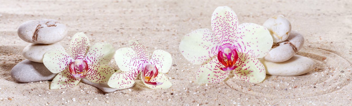 Кухонный фартук "Орхидеи на песке", полимерное стекло; 2000*600*3мм.