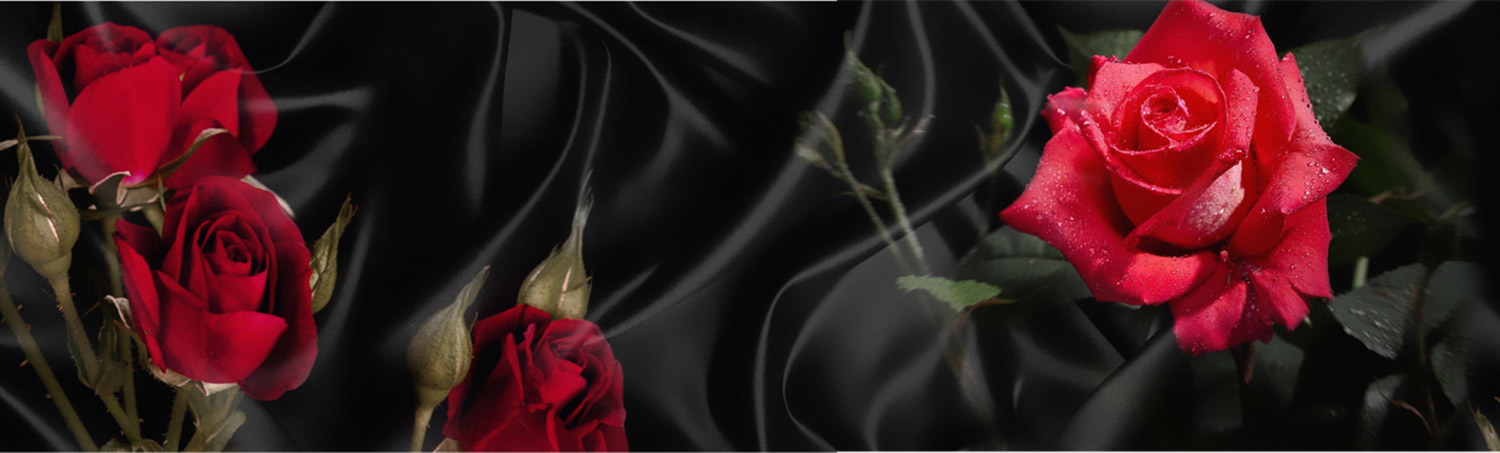 Кухонный фартук "Розы на черном", полимерное стекло; 2000*600*3мм.