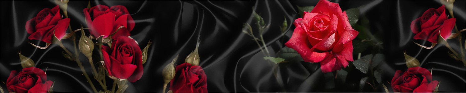 Кухонный фартук "Розы на черном", полимерное стекло; 3000*600*3мм.