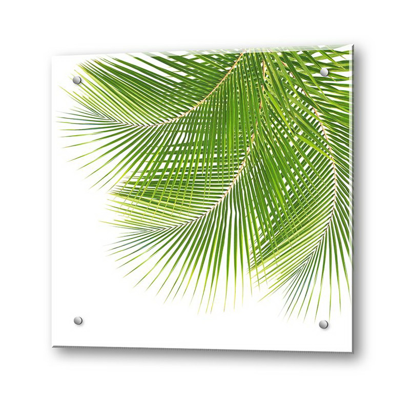 Кухонный экран из стекла "Листья пальмы"