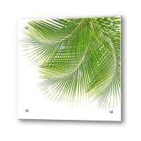 Кухонный экран из стекла "Листья пальмы"