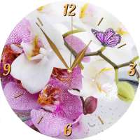 Часы стеклянные "Орхидеи и бабочка" (круглые) 300*300*4 мм.